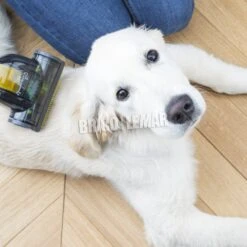 Aspiradora Sin Bolsa 700W 3L 79dB H.Koenig STC68 -Brico Lemar Comercio aspiradora sin bolsa 700w 3l 79db hkoenig stc68 7