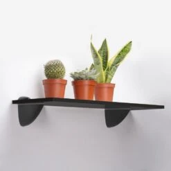 Juego De Soportes Para Estante De Madera O Cristal Pelicano, Plástico Y Zamak, Pintado Negro - Emuca -Brico Lemar Comercio juego de soportes para estante de madera o cristal pelicano plastico y zamak pintado negro emuca 5